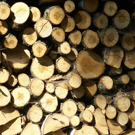 Chalé Spacious Chalet For 4 In Hommert