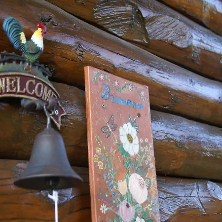 Spacious Chalet For 4 In Hommert Chalé *