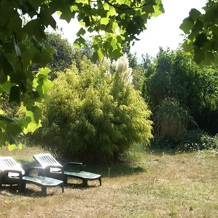 Spacious Chalet For 4 In Hommert *