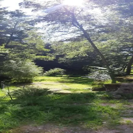 Spacious For 4 In Hommert