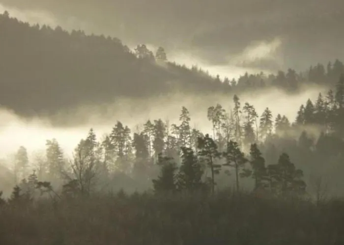 Spacious For 4 In Chalet *