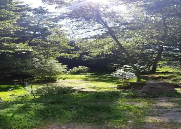 Spacious For 4 In Hommert